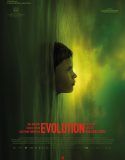 Evrim | Évolution