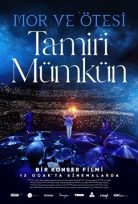 Tamiri Mümkün