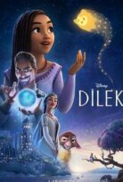 Dilek Wish