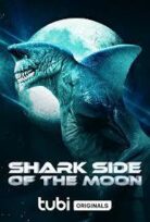 Ayın Köpekbalığı Yüzü Shark Side Of The Moon